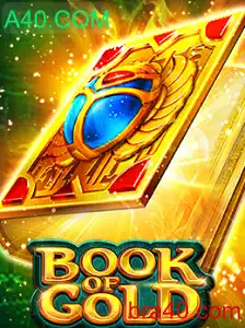 Explorando o Mundo Enigmático de BookofGold